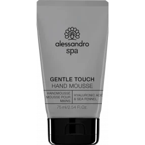 Gentle Touch Hand Mousse